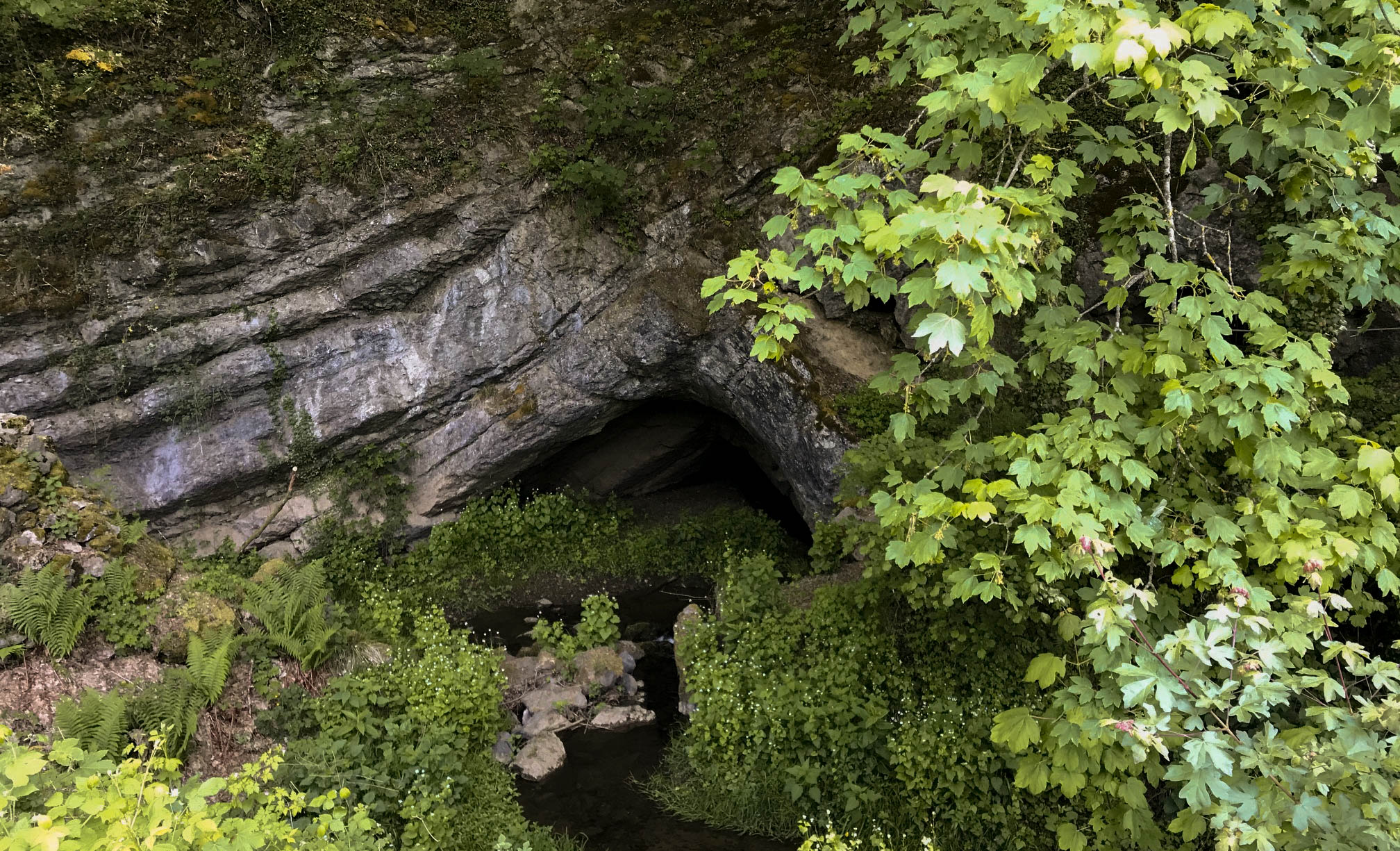 Vue extérieure d'une cavité de la Grotte de Neptune à Couvin