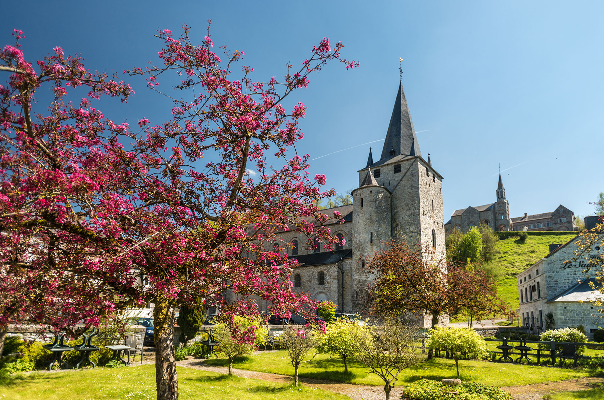 Vue extérieure de la collégiale Saint-Hadelin entourée d'arbres fleuris