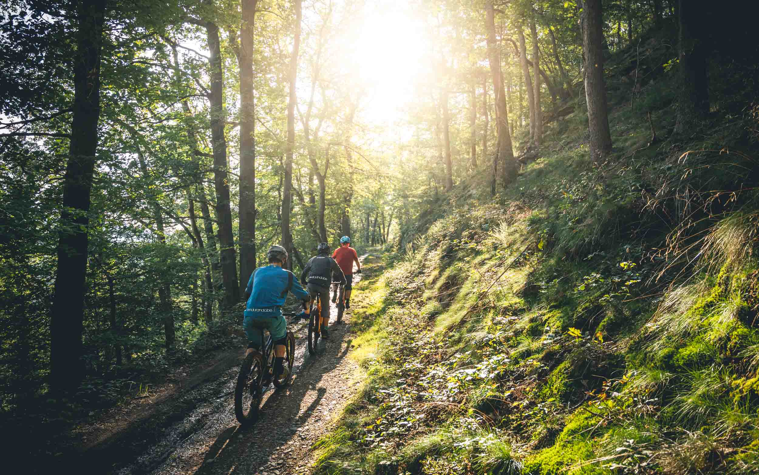 A group of mountain bikers cycles along a path of the Trail center in Spa