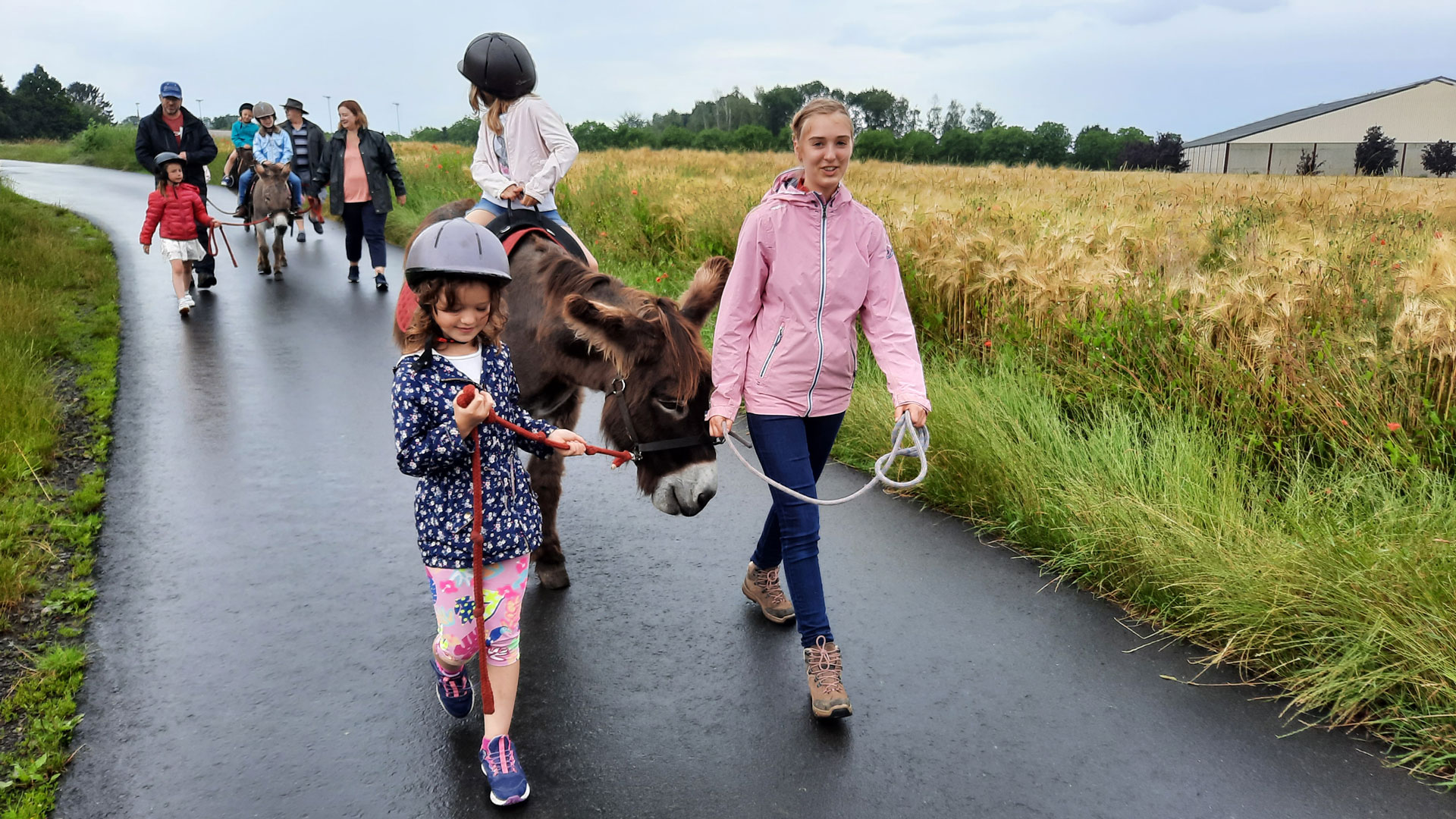 Children enjoying a donkey ride in Feluy with Balad'âne