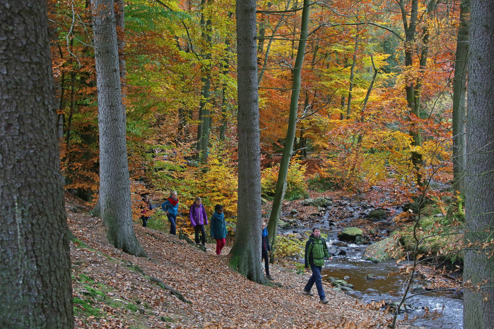 Une famille se promène dans les bois en automne