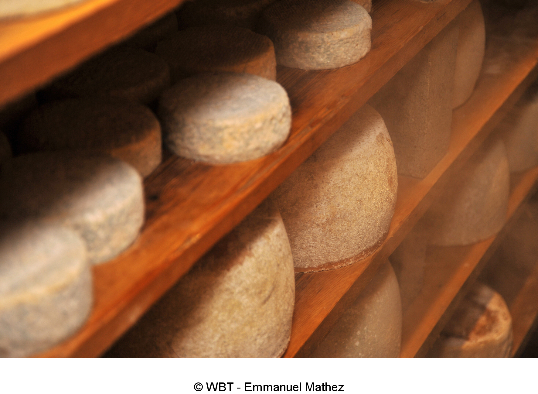 Venez découvrir la fromagerie du Gros Chêne à Méan (Havelange), au cœur du Condroz