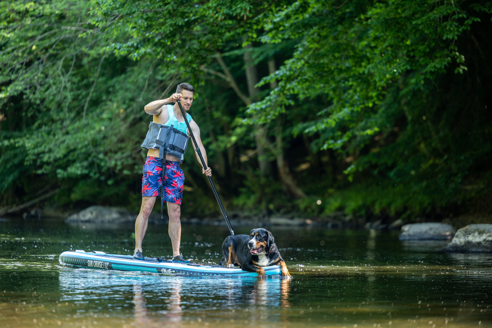Un homme fait du paddle avec son chien