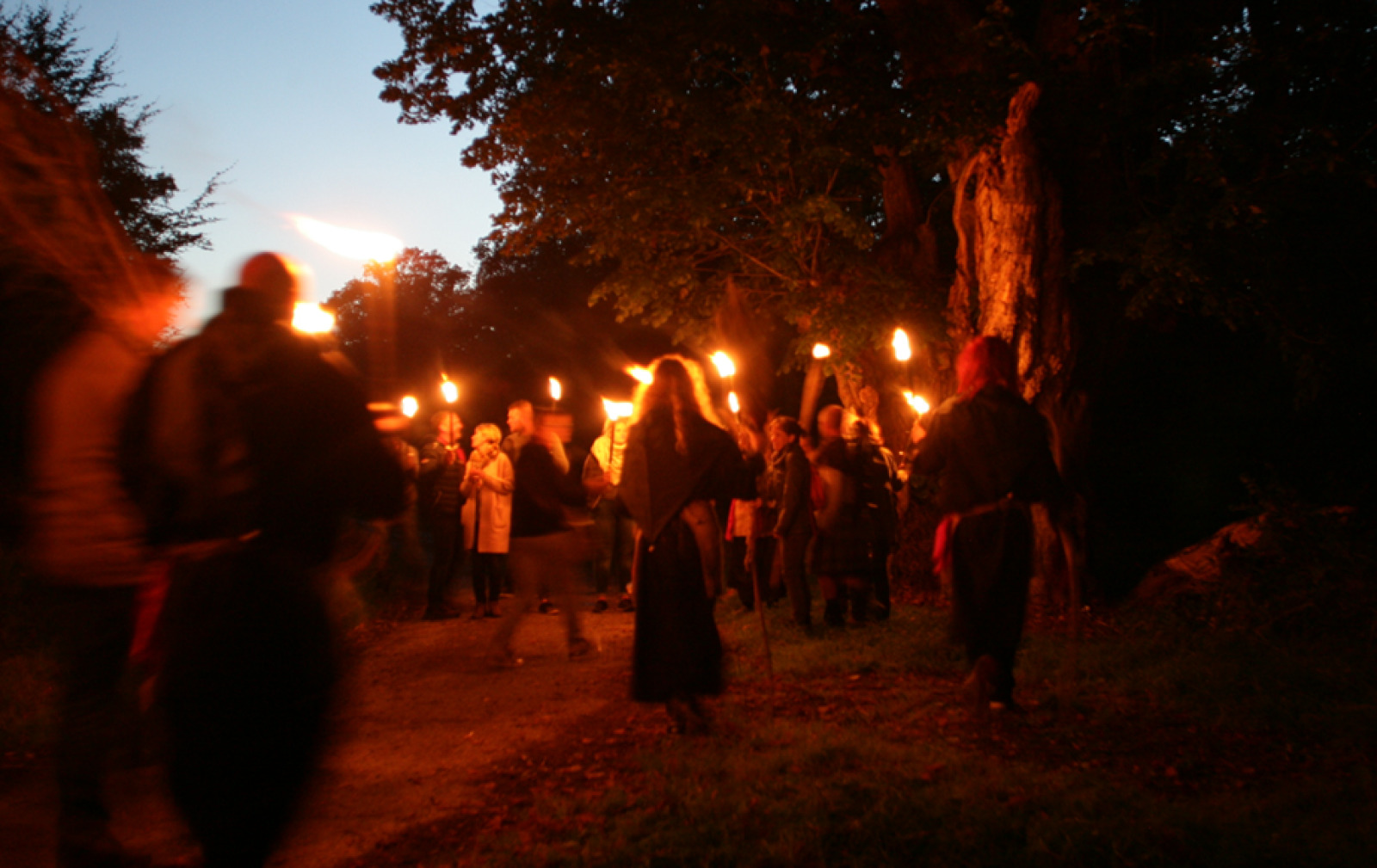 Gathering of the carnival group by torchlight