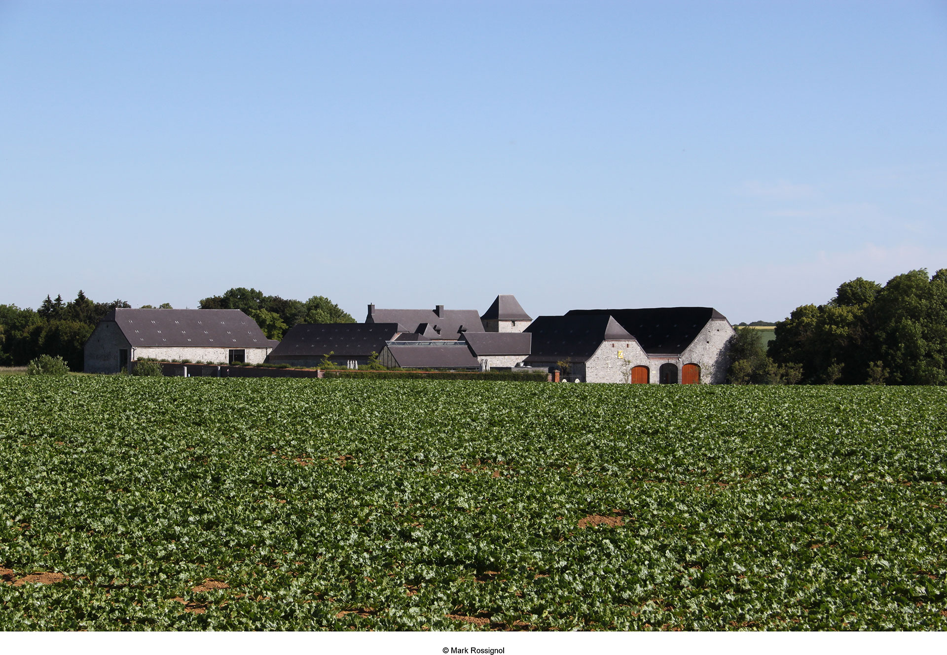 Les plus beaux villages de Wallonie - Ragnies - champ - toît - ciel bleu