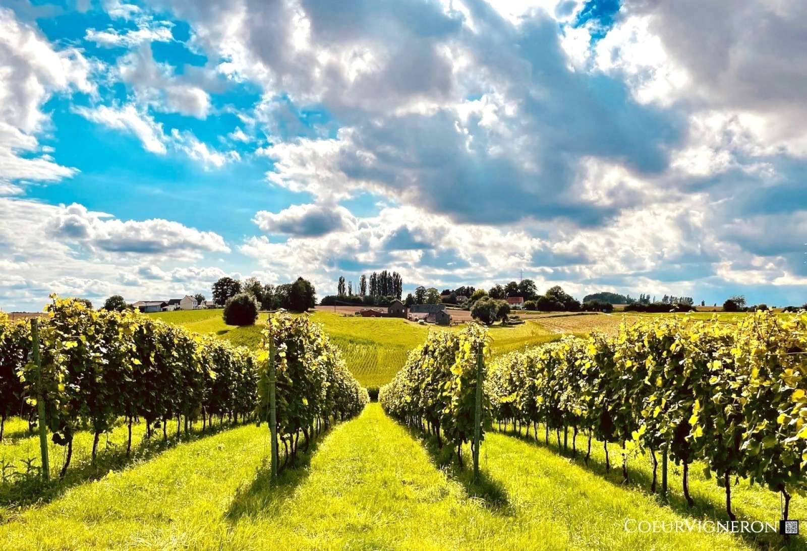 Domaine viticole de Glabais à Genappe en plein cœur du Brabant Wallon