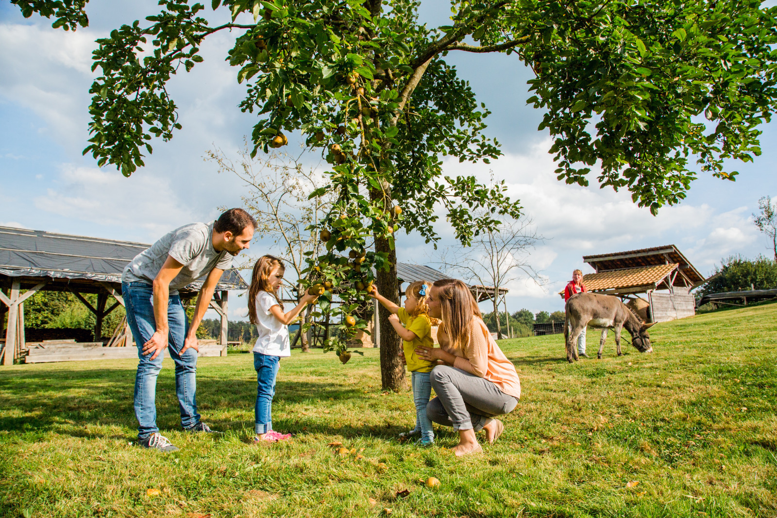 Twee meisjes en hun ouders plukken fruit van een boom in het Acheopark van Rochefort