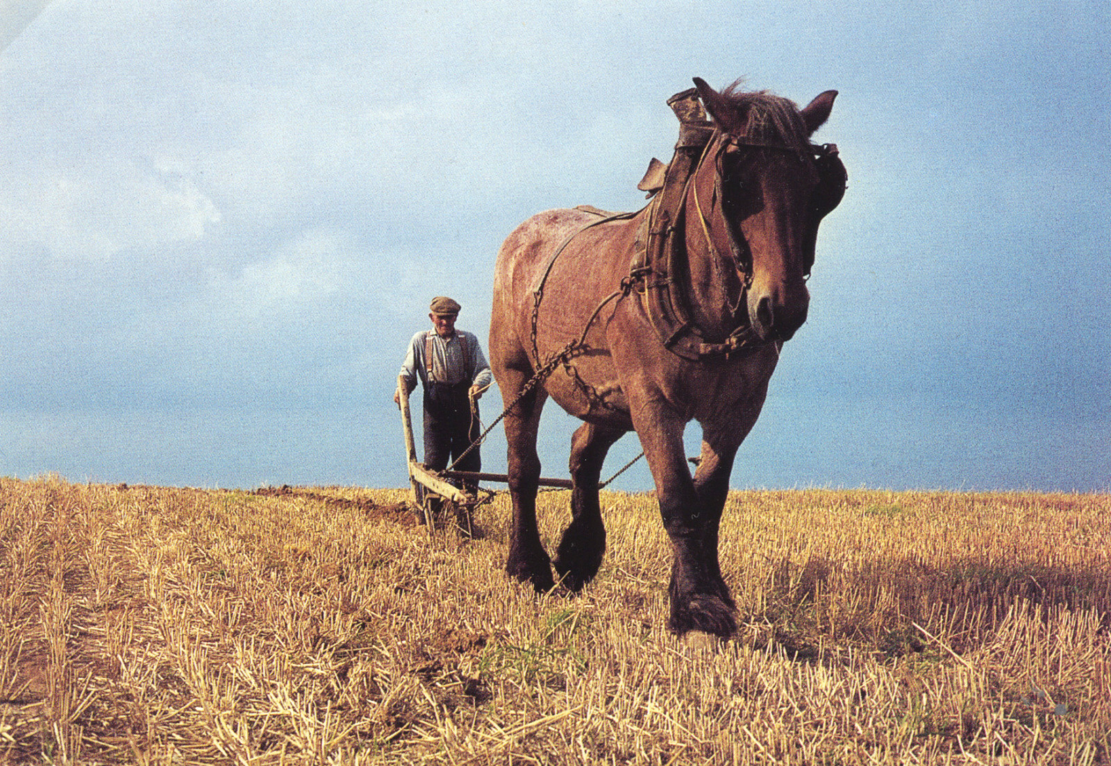 Boer woelt de grond om met behulp van een trekpaard