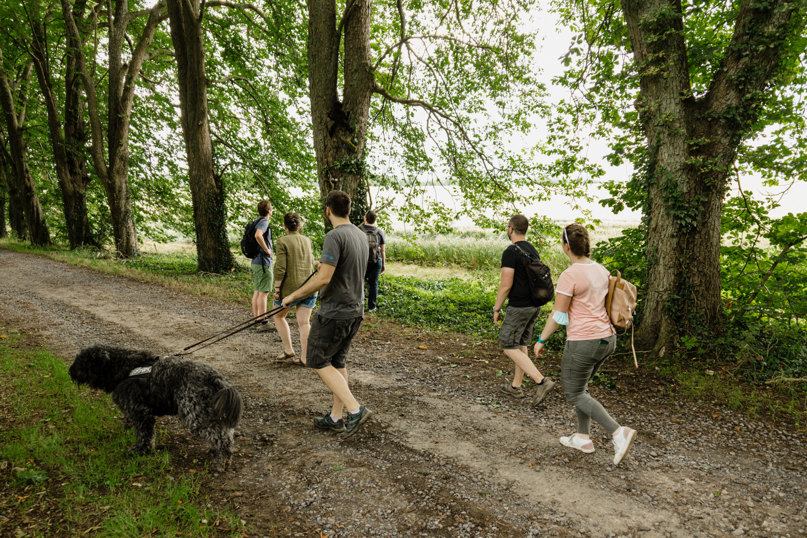 Famille avec un chien empruntant un sentier forestier 