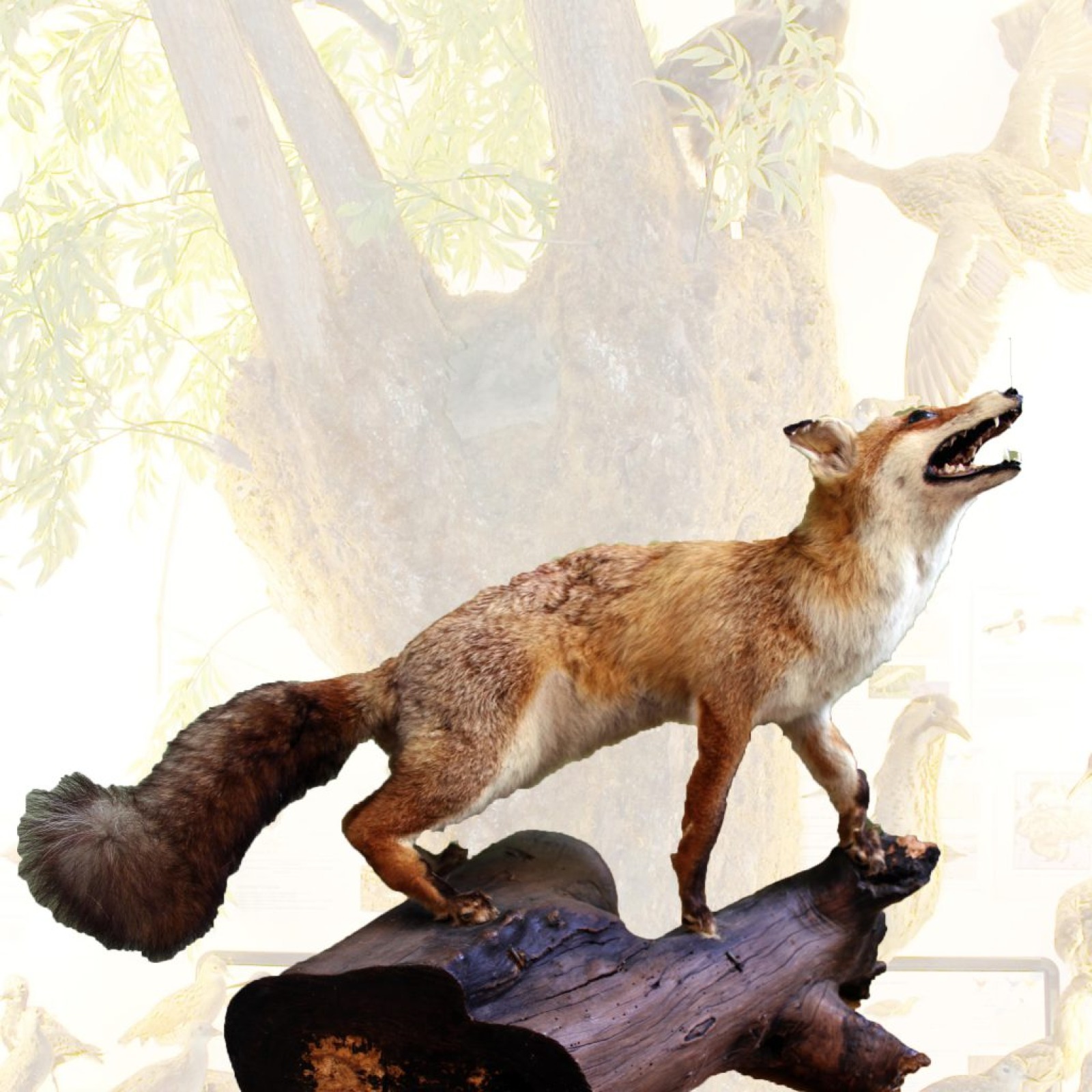 Stuffed fox, his mouth open, placed on a tree trunk
