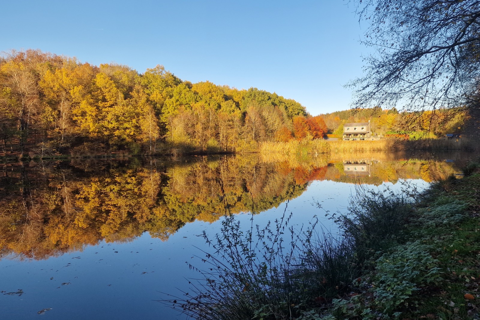 Vue du Lac - Forêt couleurs d'automnes et Meublé de vacances au loin 