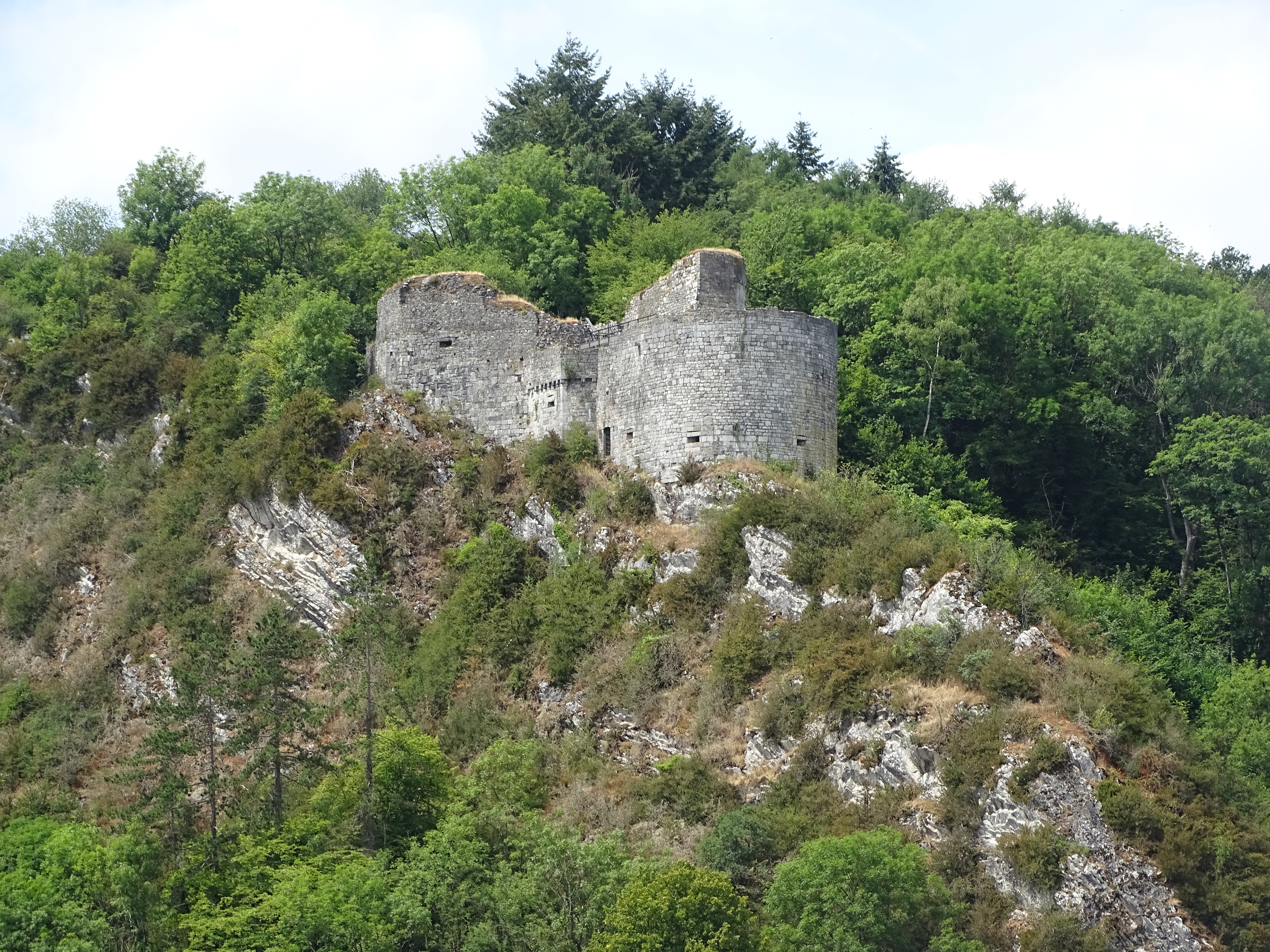 Les ruines de Crèvecoeur - Dinant