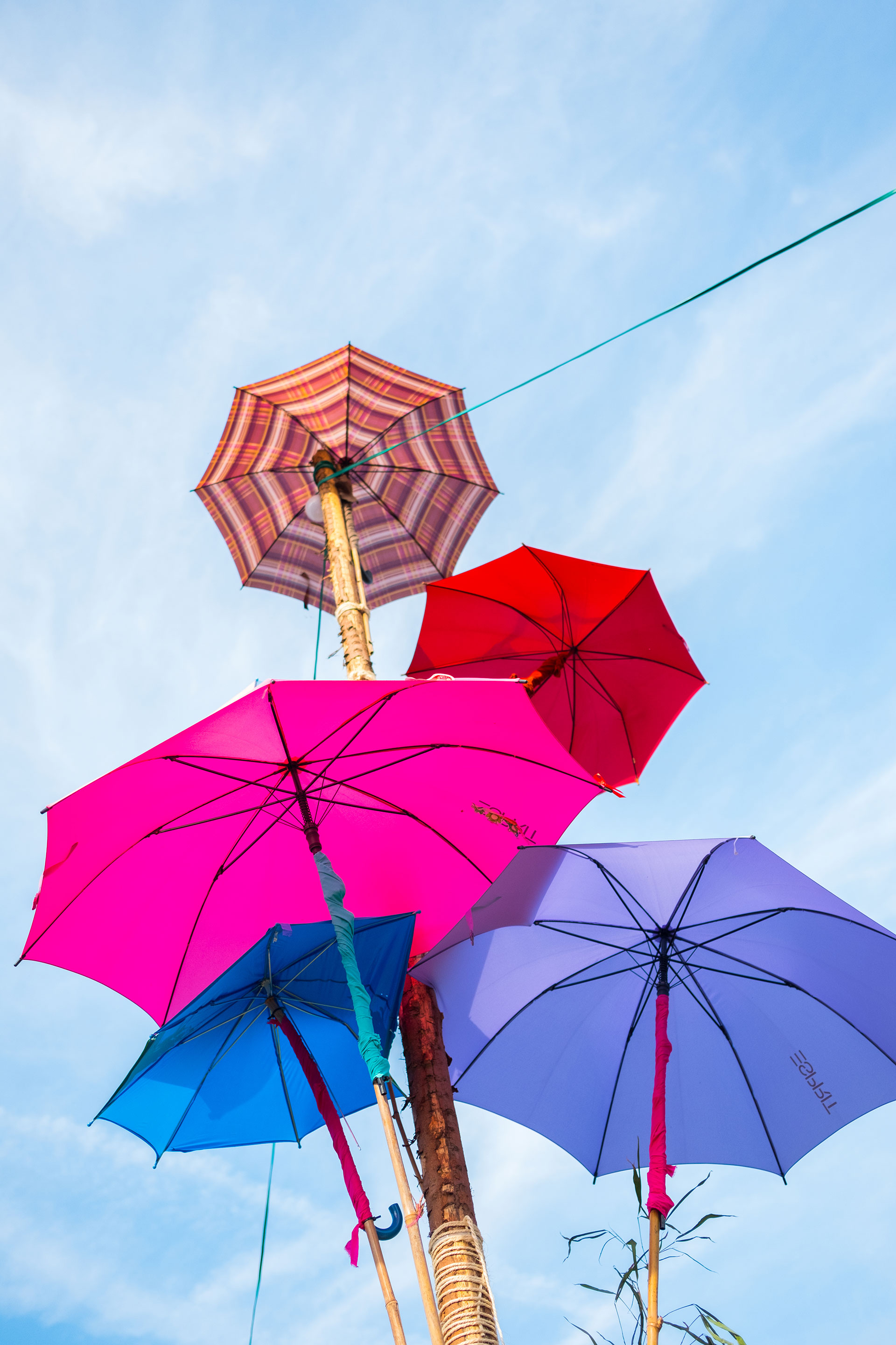 Festival - Parapluie - météo - été