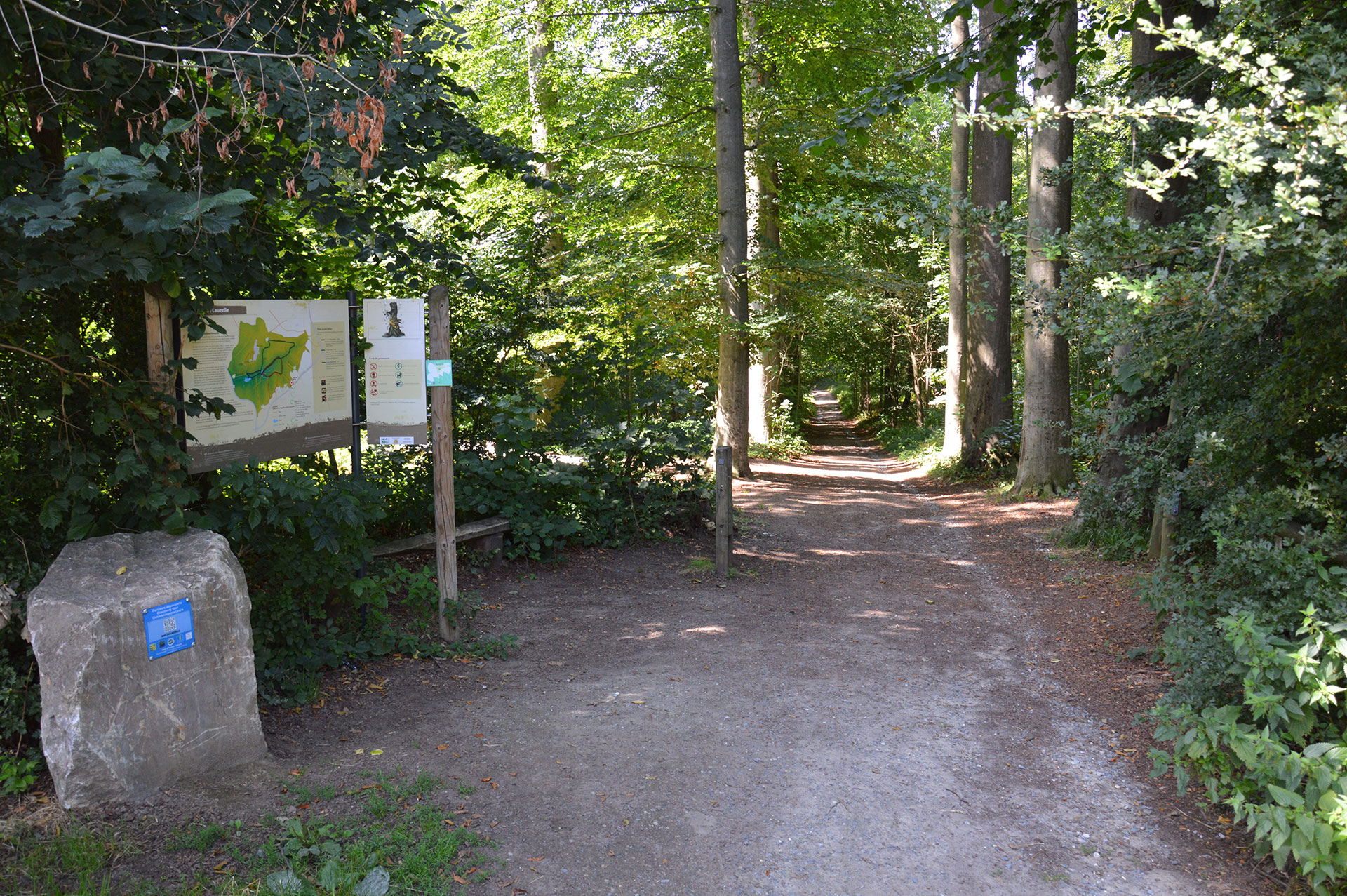 Bois de Lauzelle - Louvain-la-Neuve - Site classé Natura 2000 - 20 ha - patrimoine naturel - Ottignies-Louvain-la-Neuve - Brabant wallon