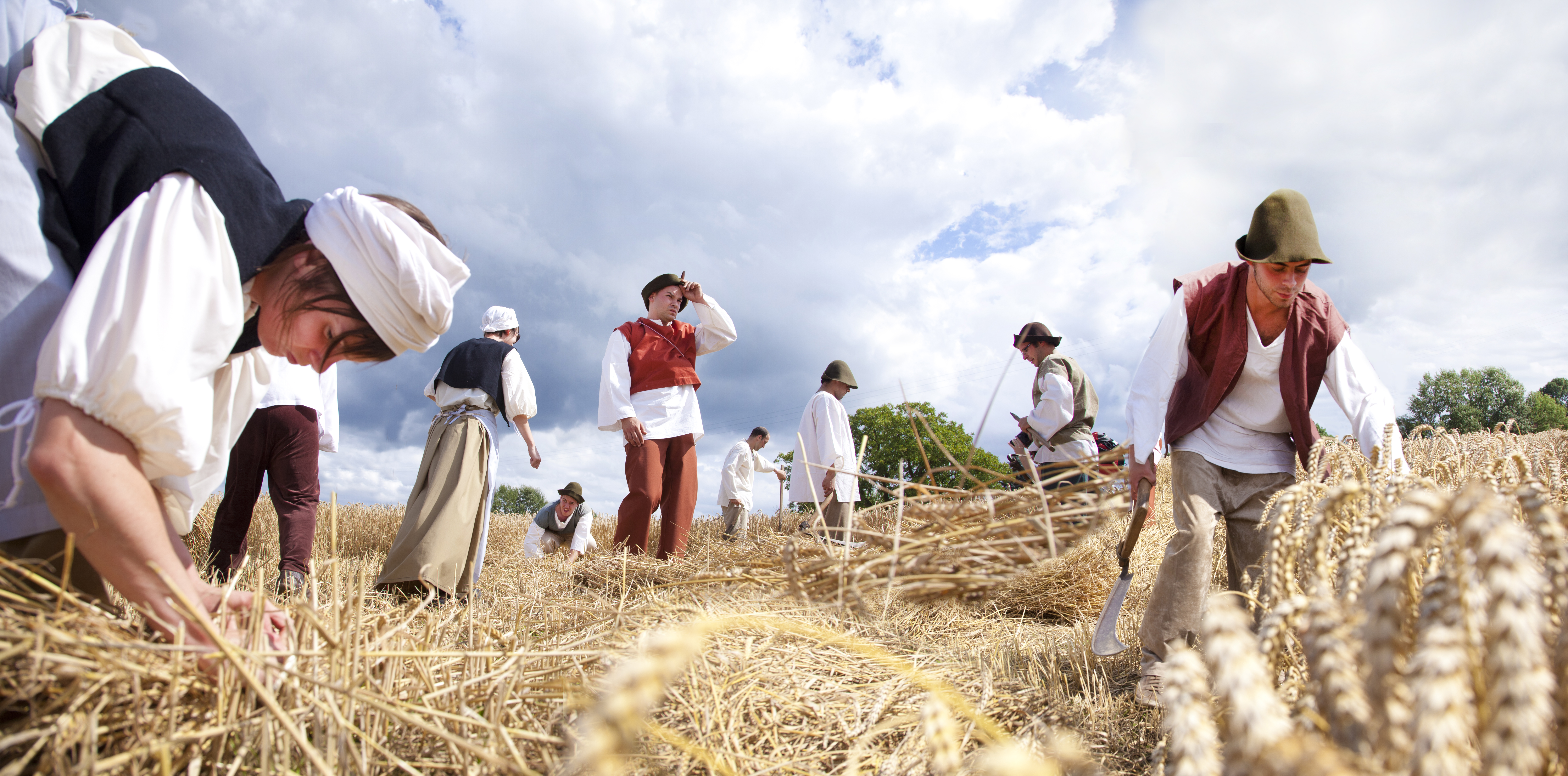 Villageois champs en plein travail de récolte dans les champs de La Hamaide - Fête de la Moisson en Belgique