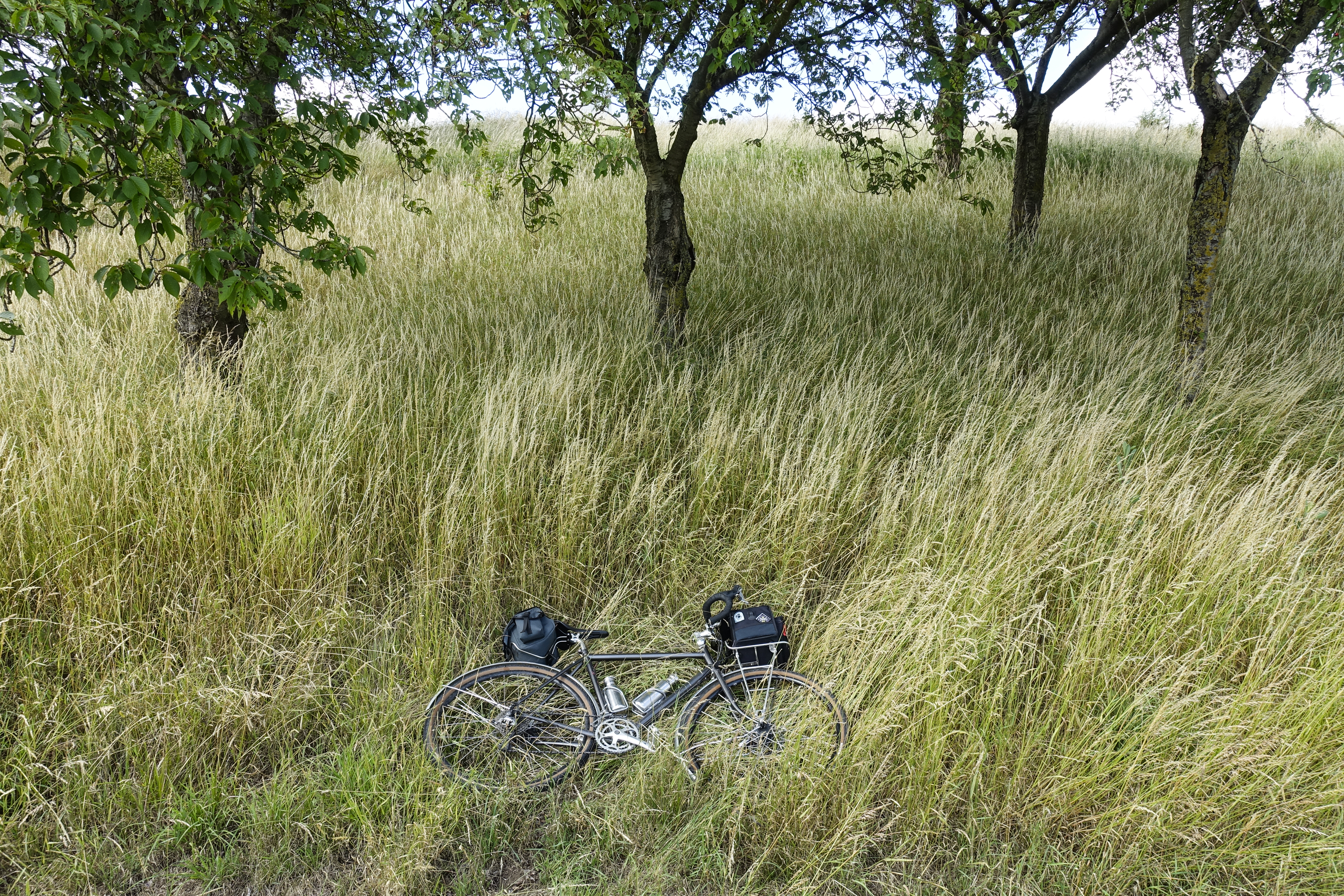 Vélo posé dans l'herbe en campagne