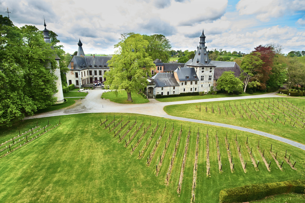 Château de Bioul - Discover Belgium - Vins wallons