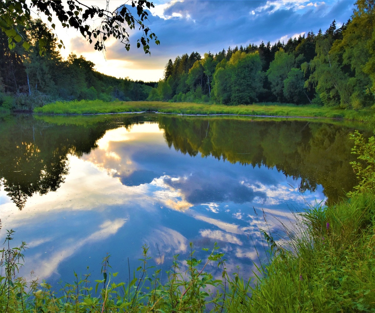 Paysage naturel et plan d'eau de la Forêt d'Anlier vaste massifs forestiers de l'Ardenne belge