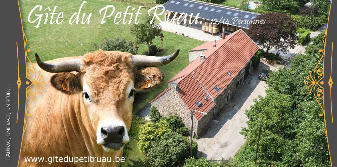 Gîte rural - Le Petit Ruau - Biesme