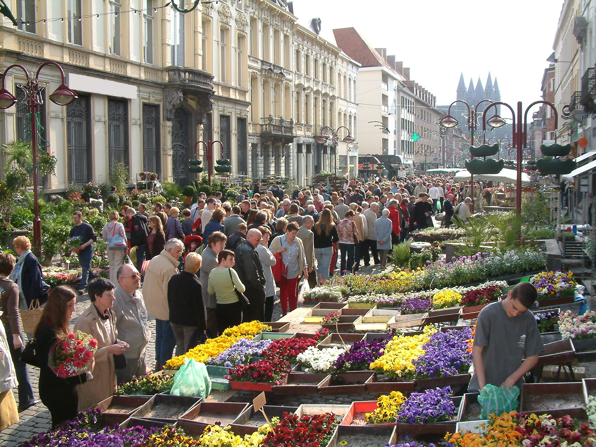 Blumenmarkt in den Straßen von Tournai