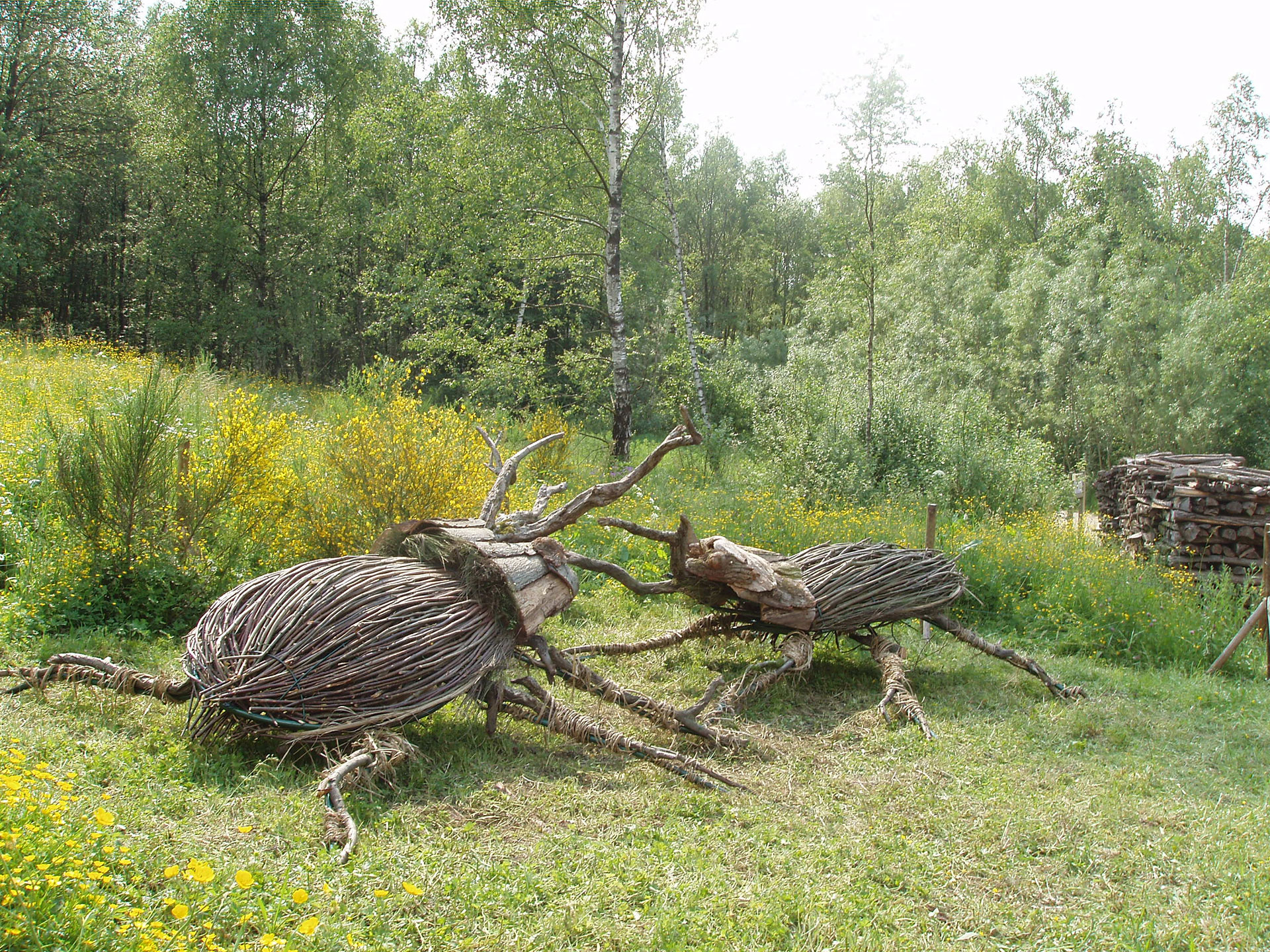 Assemblage artistique en bois de noisetier au Parc Chlorophylle à Dochamps