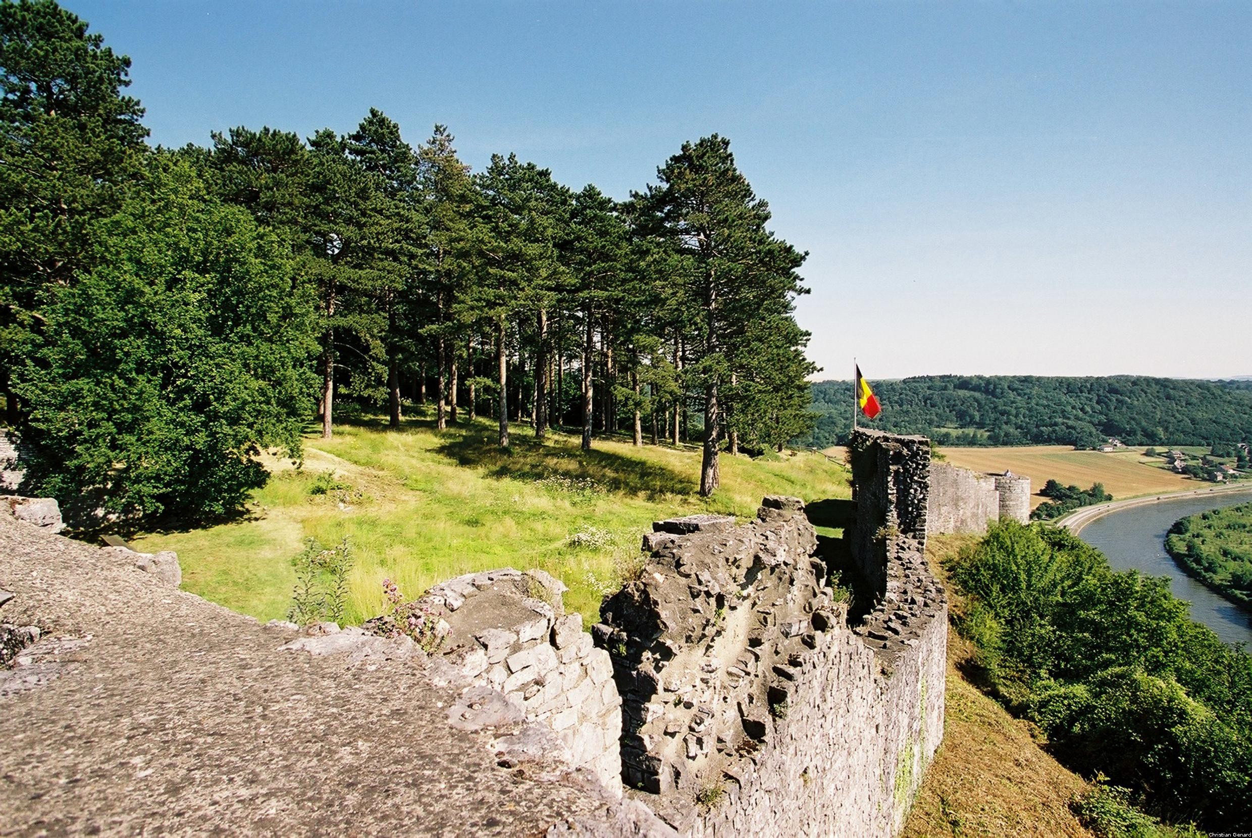 Vue des Ruines de Poilvache et de la Meuse