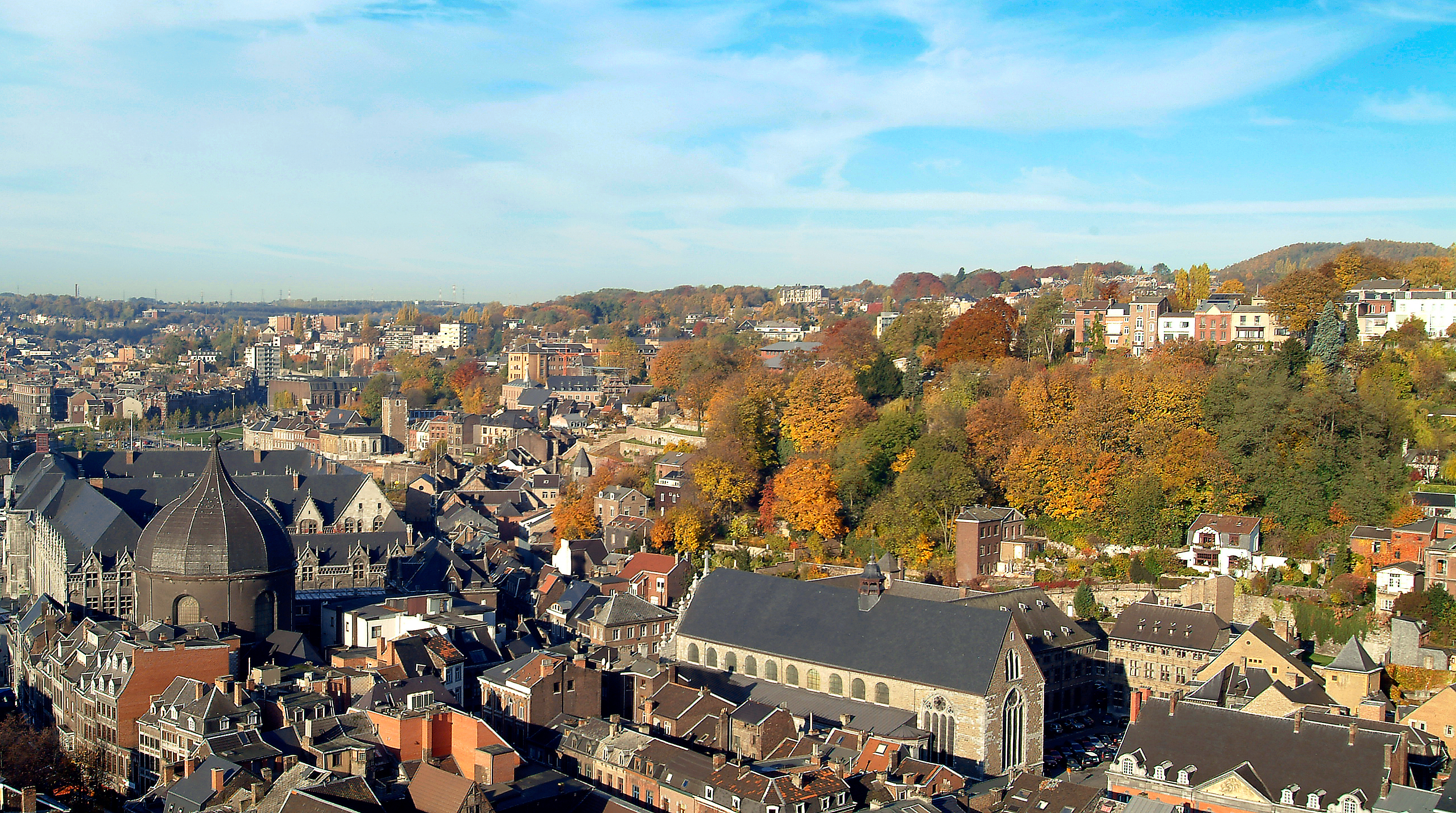 Vue panoramique du cœur historique de Liège depuis les coteaux de la citadelle