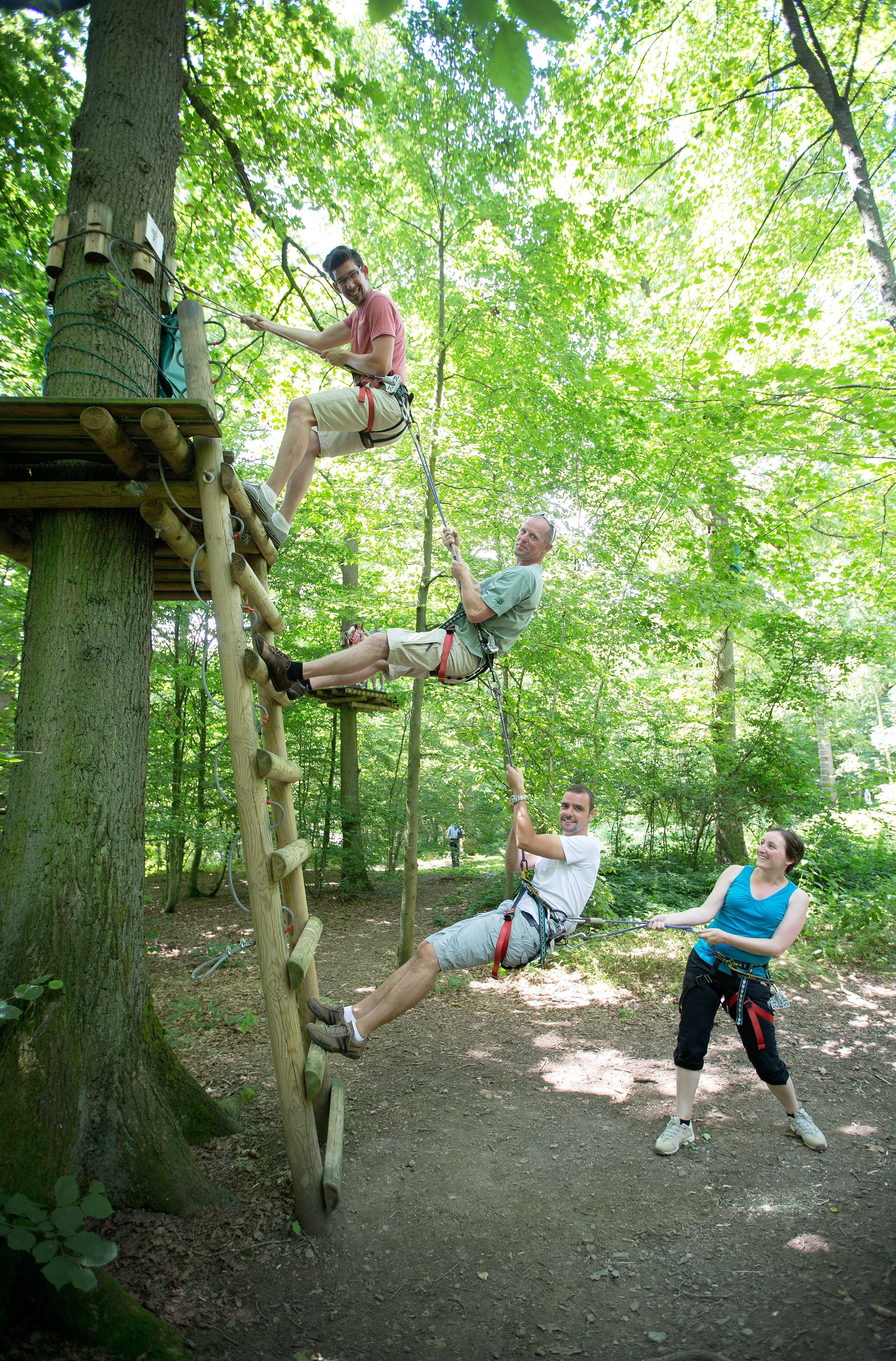 Explore the tree top trails in Natura Park, at the Eau d'Heure lakes