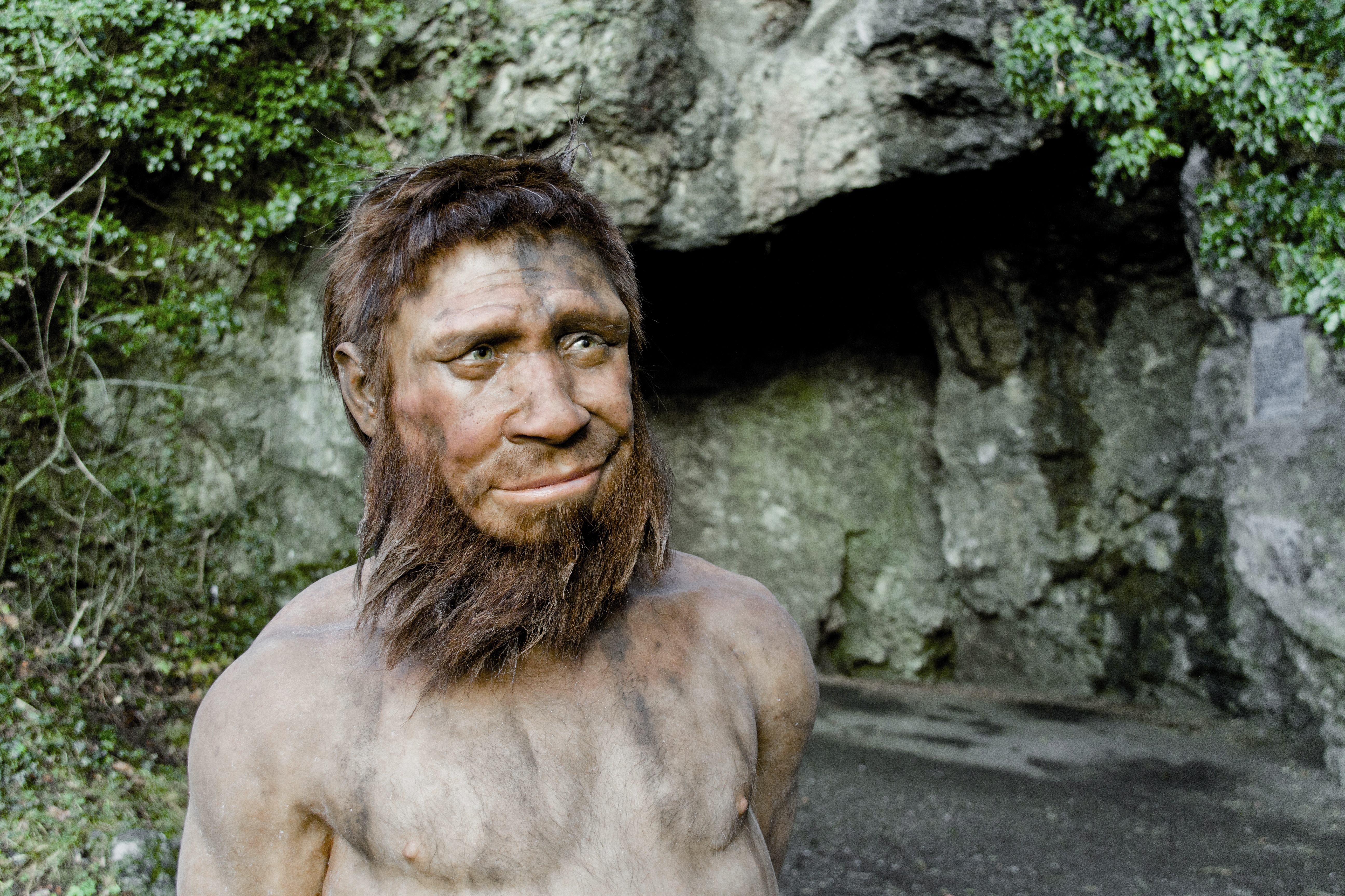 Venez découvrir la Grotte de l'Homme de Spy qui surplombe la vallée de l'Orneau