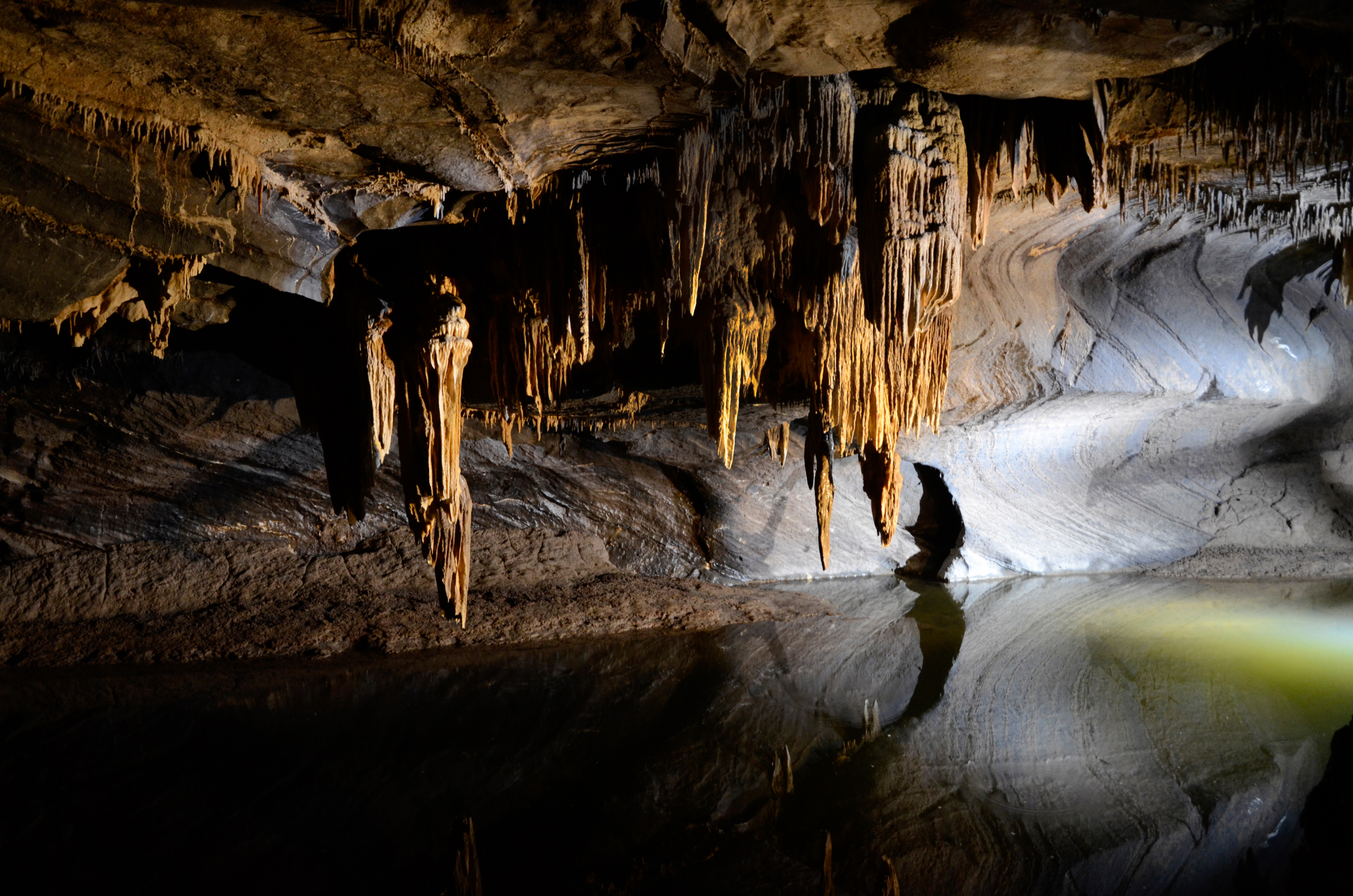 Venite a scoprire le Grotte di Han, a Han-sur-Lesse, in provincia di Namur