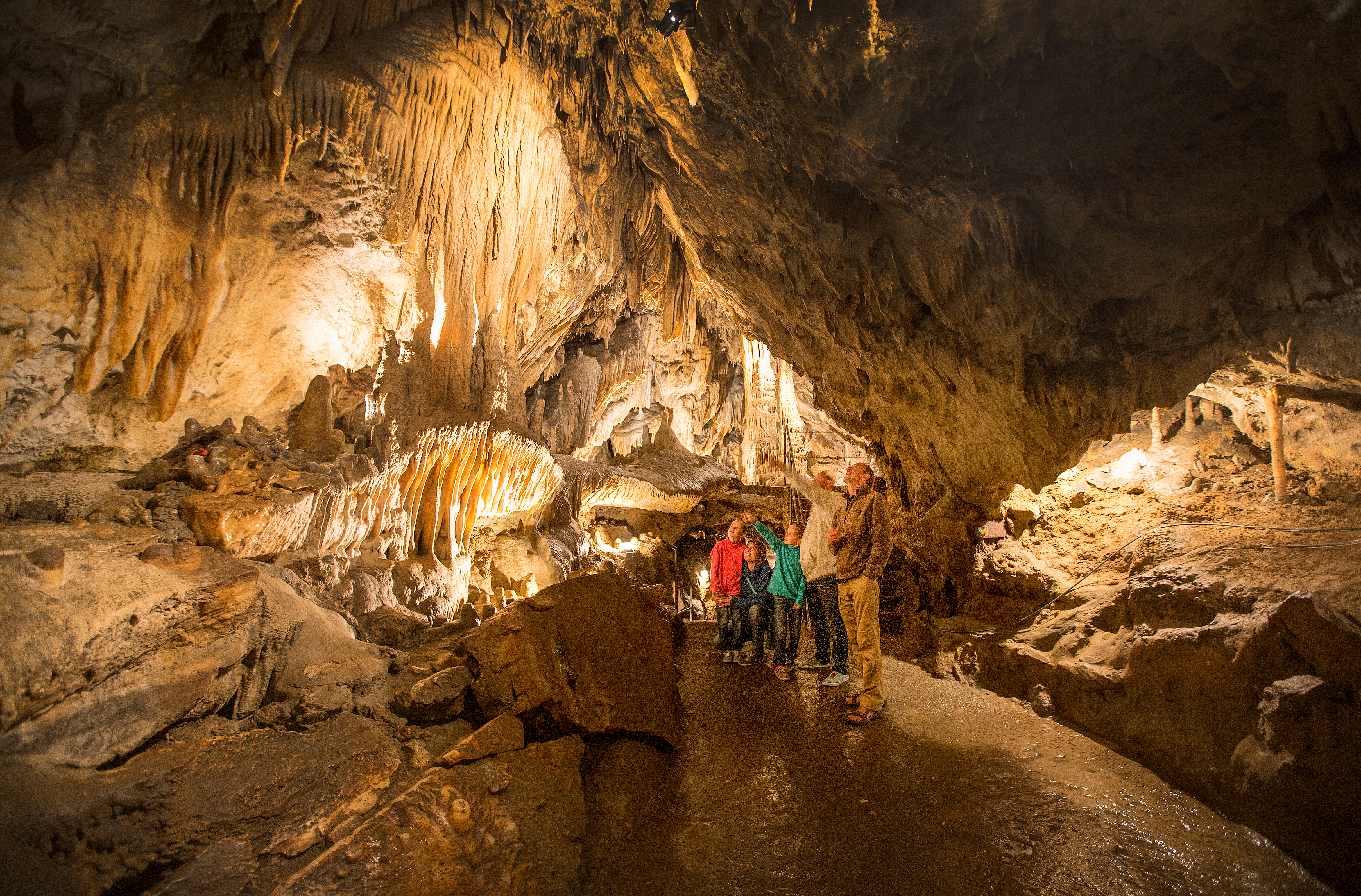 Scoprite la tenuta della Grotte di Han, provincia di Namur