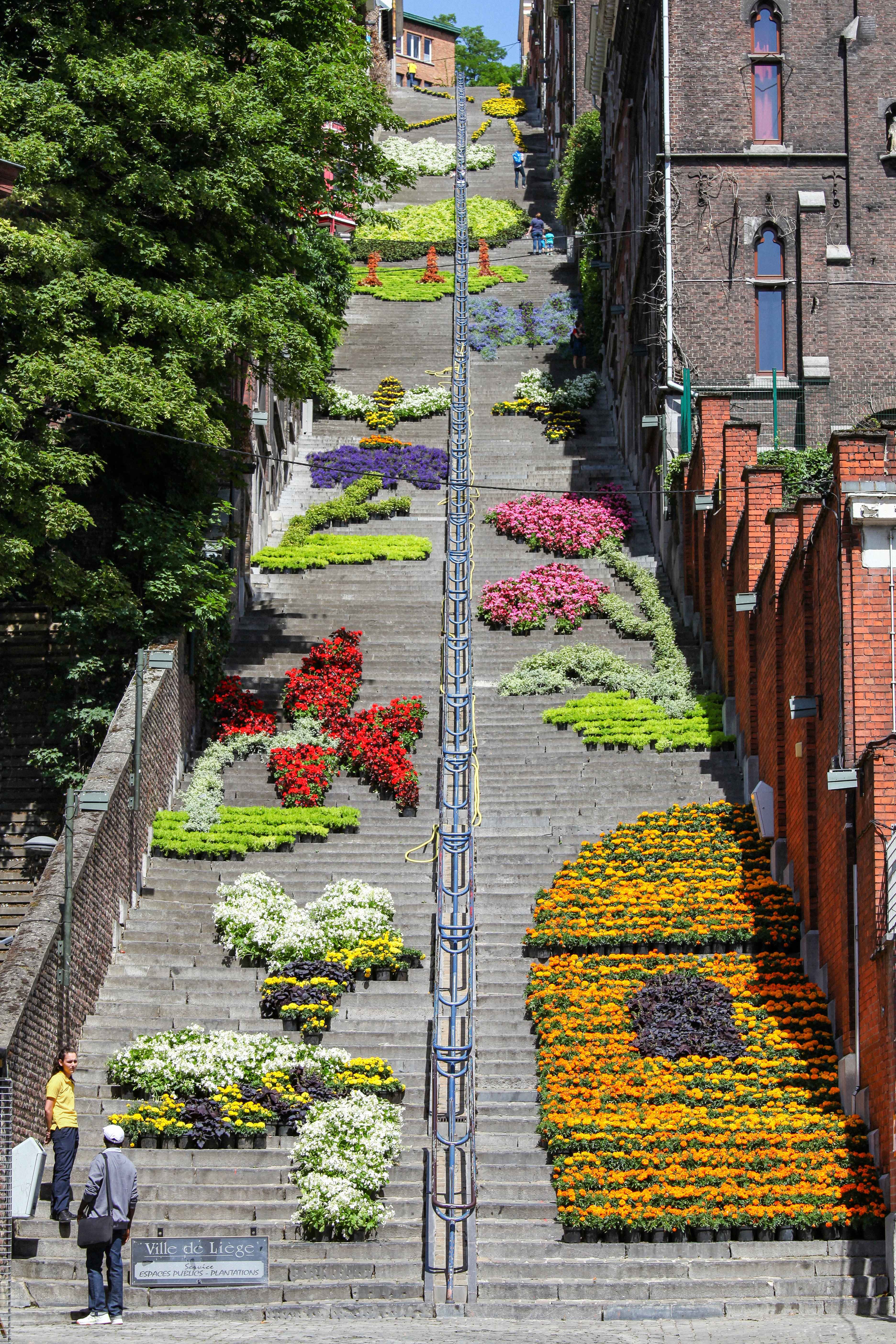 Admirez les milliers de fleurs disposées sur la montagne de Bueren à Liège - Wallonie insolite