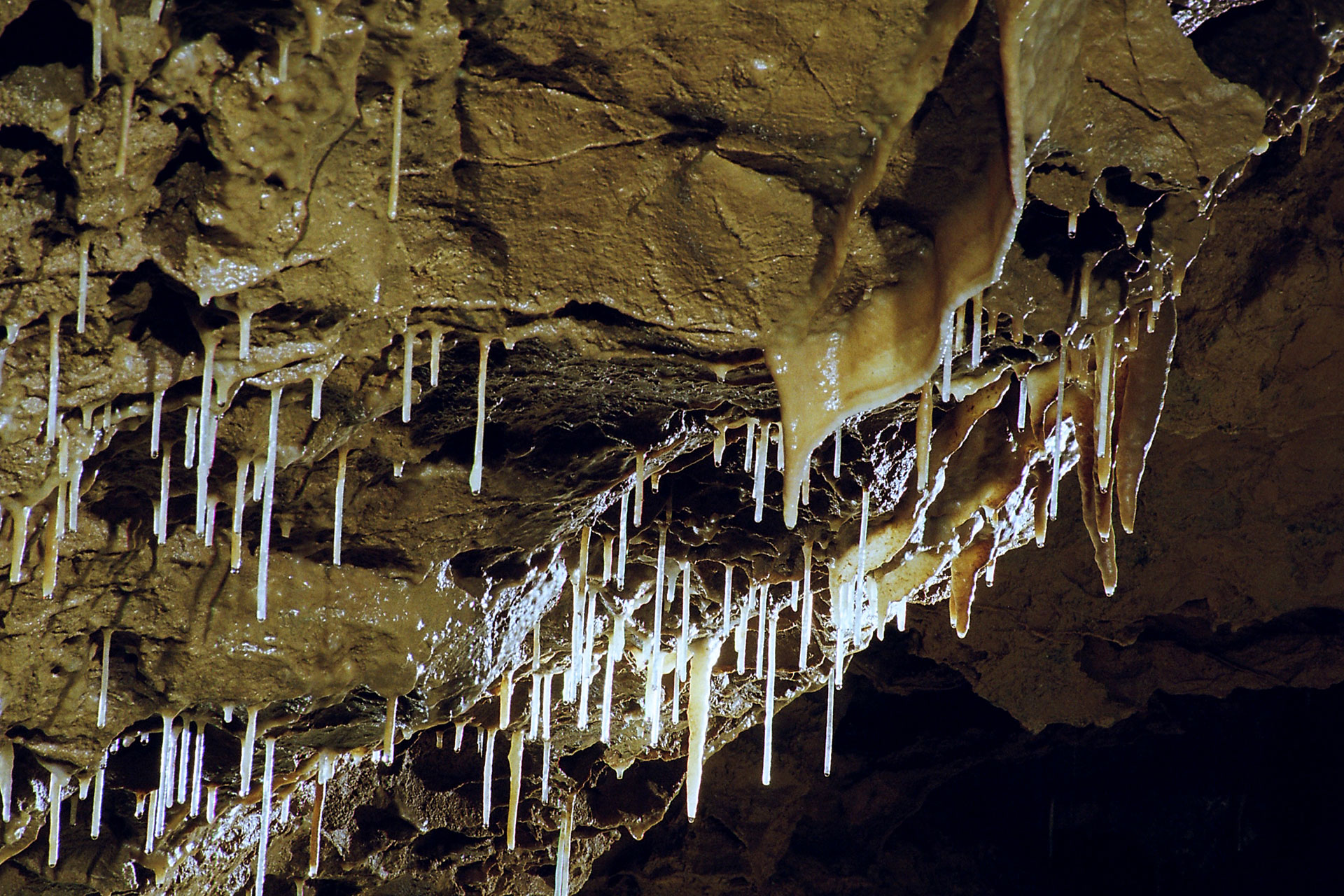 Grotte de Comblain - spectacle naturel - passionnant - Liège - Curieux - aventurier - monde souterrain - joyau naturel - vallée de l’Ourthe
