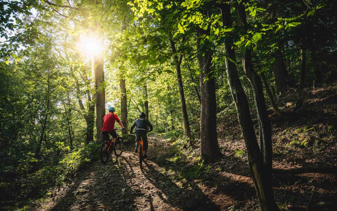Twee mountainbikers rijden het bospad van het Spa trail centre op