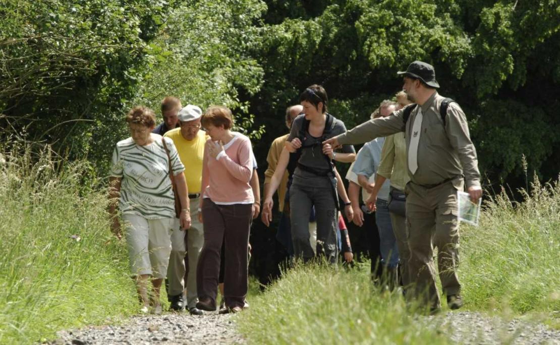 Groupe qui participe à une balade forestière guidée à Saint-Hubert