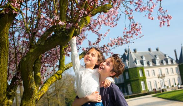 Cerisier en fleurs avec 2 enfants et château à l'arrière plan