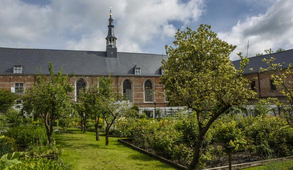 Découvrez le jardin du cloître et jardin des simples de l'hôpital Notre-Dame à la Rose, à Lessines