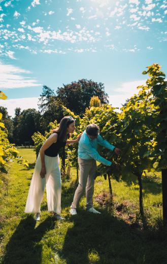 Un couple se balade dans les vignes du Château de Bioul