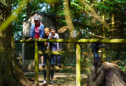 Famille au Parc animalier de Bouillon