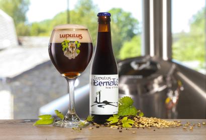 Hibernatus, the Christmas beer brewed by Brasserie Lupulus