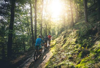 A group of mountain bikers cycles along a path of the Trail center in Spa