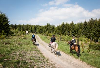 Trois cavaliers sur un chemin en forêt