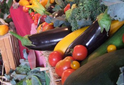 Ferme - Arc-en-ciel - Wellin - valeurs fondamentales - légumes de qualité