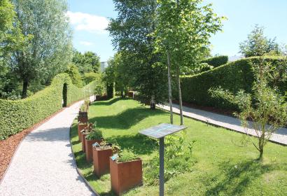 Découvrez Herba Sana, jardin des plantes médicinales à visiter, Elsenborn