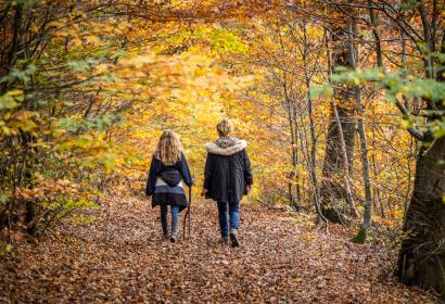 Autumn walk in Wallonia
