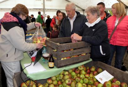 Vendeur pesant des pommes à son étal lors de la Foire aux pommes de Virelles