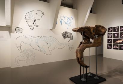 Ausstellung im Musée L in Louvain-la-Neuve | Fossilien und Fiktionen
