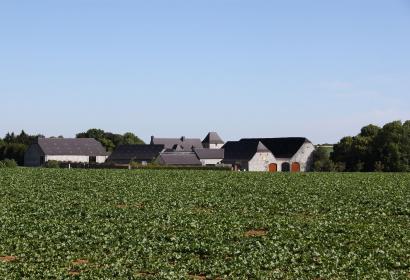 Les plus beaux villages de Wallonie - Ragnies - champ - toît - ciel bleu