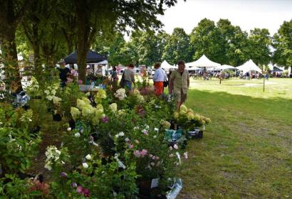 Artisanal and plant fair - exhibitors - flea market - buyers - every year on the 15th of August - Fauvillers