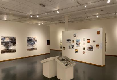 Photo of the exhibition room at the Palais des Beaux Arts in Charleroi